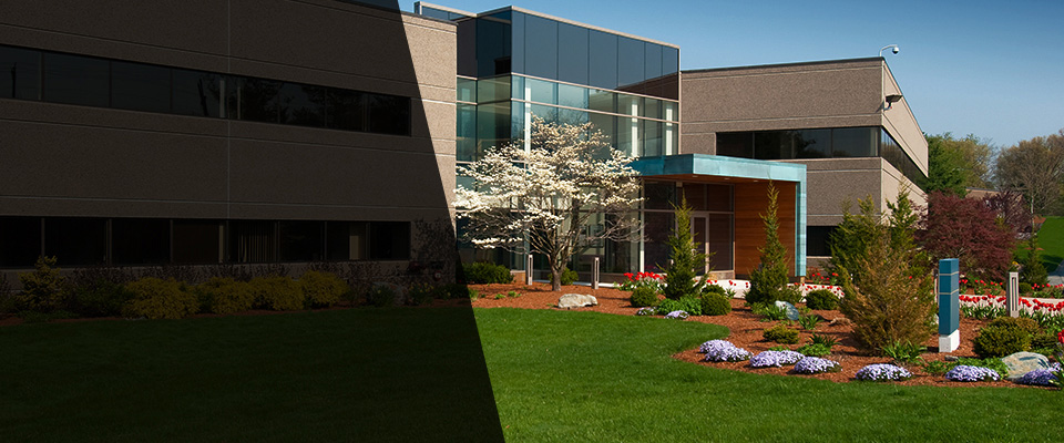 Woodbridge Landscapers