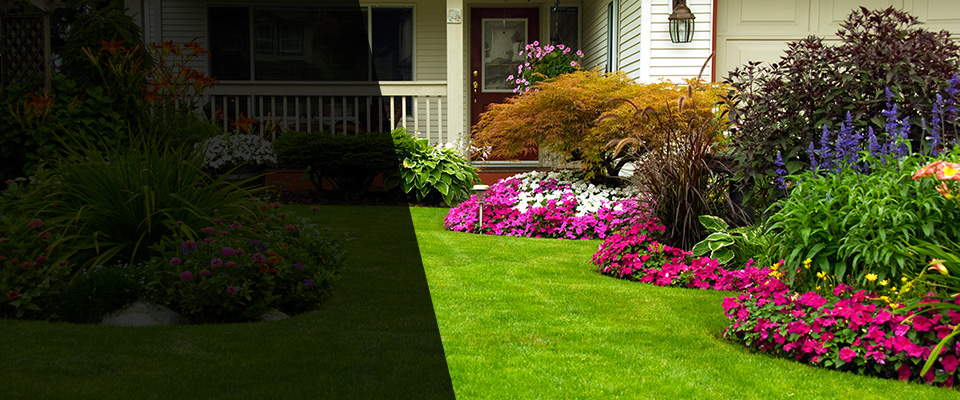 Woodbridge Landscapers