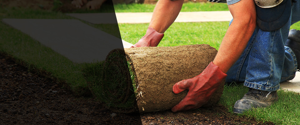 Woodbridge Landscapers